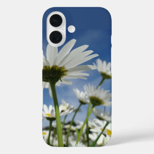 Daisies Reaching for the Sky iPhone 16 Case