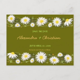 Daisies Save the Date Wedding Announcement 2 Card
