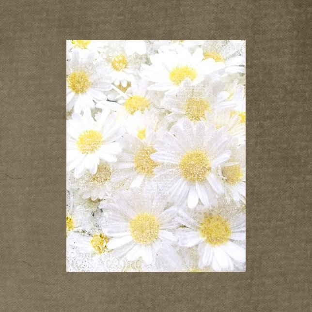 Daisies Scrapbook Paper (Creator Uploaded)