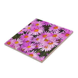 DAISIES TILE