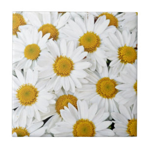 Daisies Tile