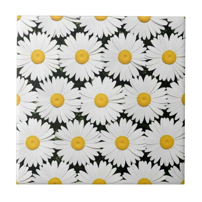 Daisies Tile (Front)