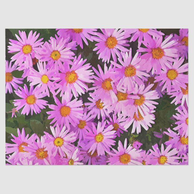 DAISIES TISSUE PAPER (Front)
