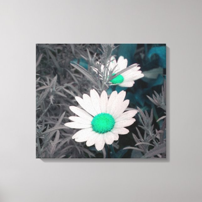 Daisies (w/Green) Wrapped Canvas (Front)