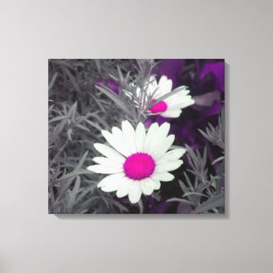 Daisies (w/Pink) Wrapped Canvas