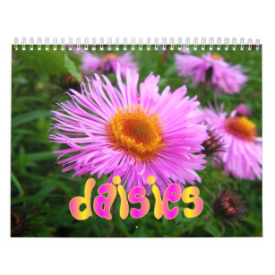 Daisies Wall Calendar