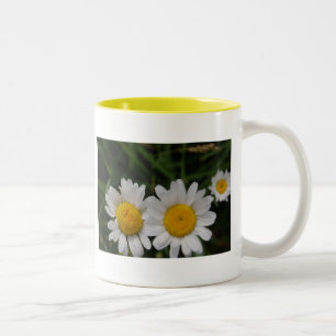 Daisies Won't Tell Two-Tone Coffee Mug