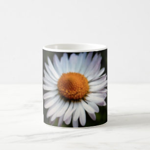 Daisy 1 Mug