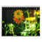 Daisy- 2016 calendar