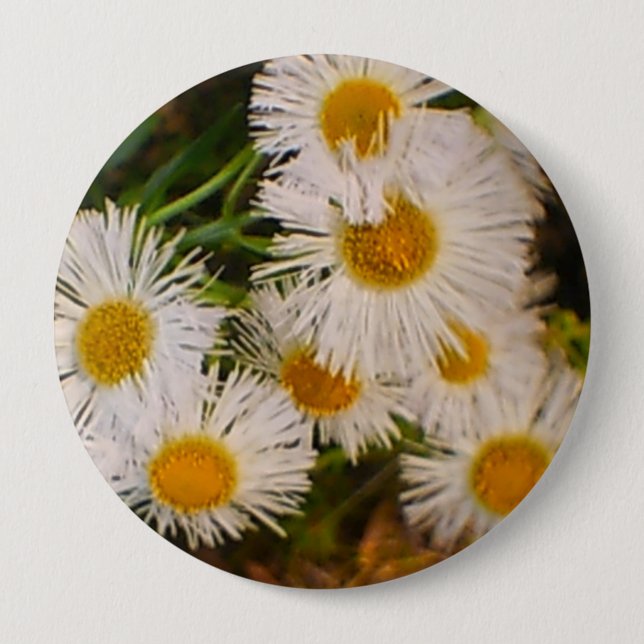 Daisy 4 Inch Round Button (Front)