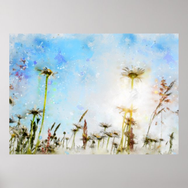 Daisy  -     - Acrylic Print (Front)