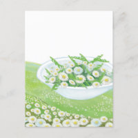 Daisy and Dandelion Spring Salad Illustration