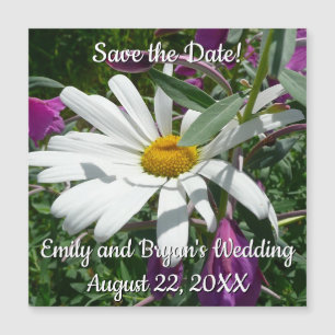 Daisy and Fireweed Wildflower