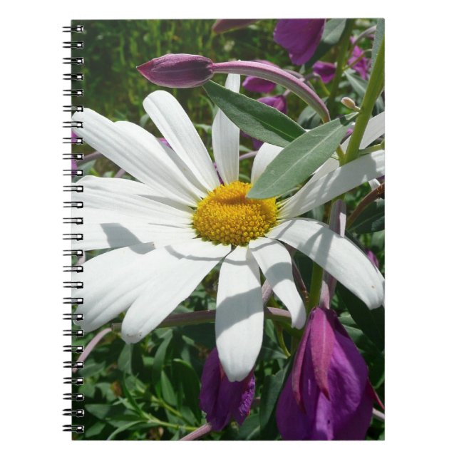 Daisy and Fireweed Wildflower Notebook (Front)