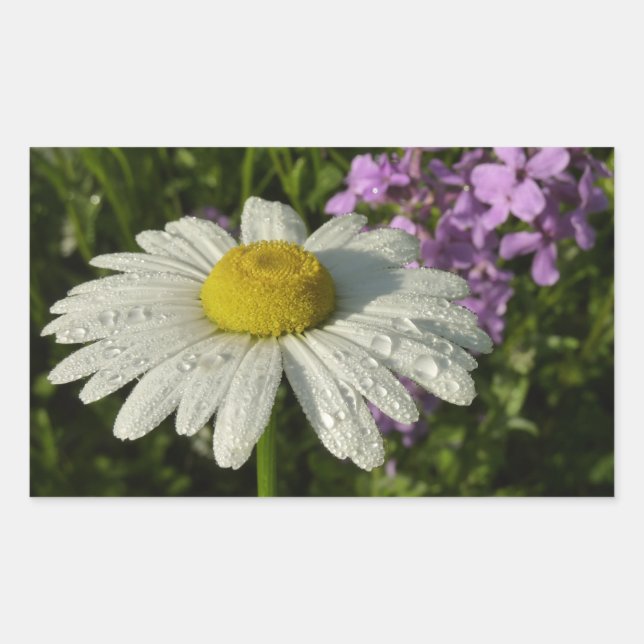 Daisy and Summer Lilac Wildflower Sticker (Front)