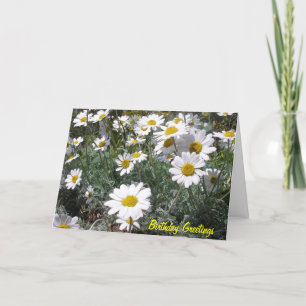 Daisy Birthday Card