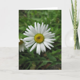 Daisy Birthday Card