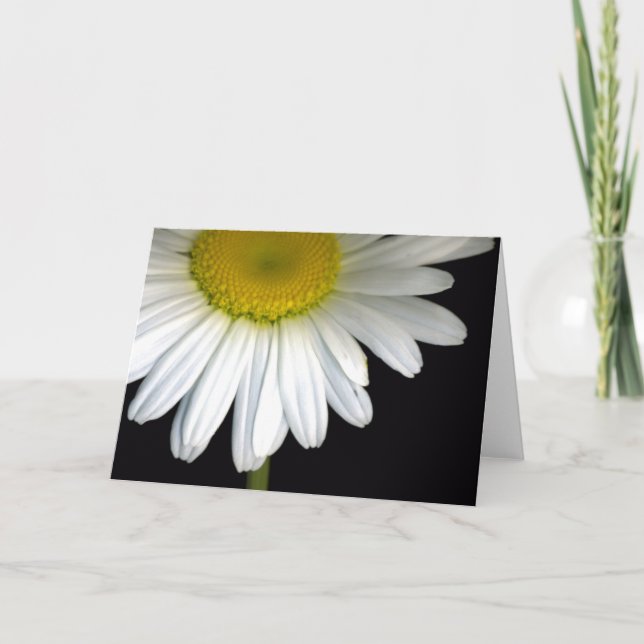 Daisy Bloom Greeting Card (Front)
