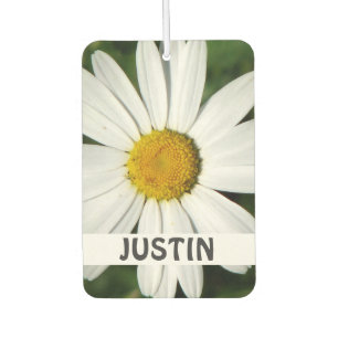 Daisy Bloom seamless pattern + your ideas Air Freshener