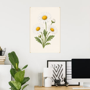 Daisy Botanical, April Birth Flower Wall art