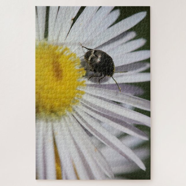 “Daisy & Bumblebee Puzzle – Nature’s Tiny Harmony” (Vertical)