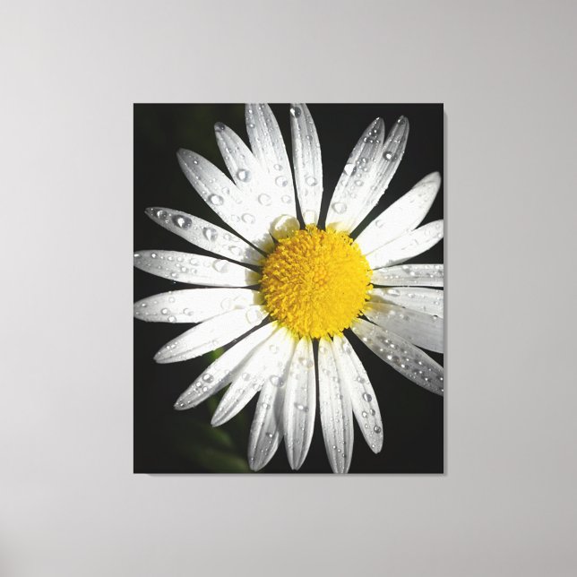 Daisy Canvas Print (Front)