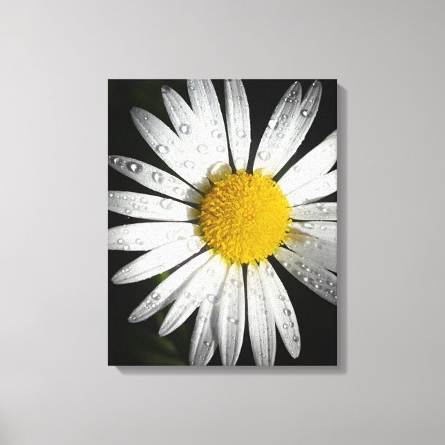 Daisy Canvas Print (Front)