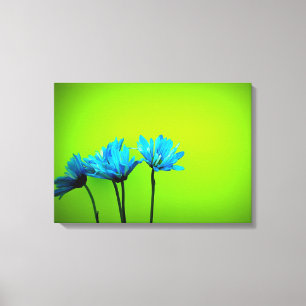 Daisy Canvas Print