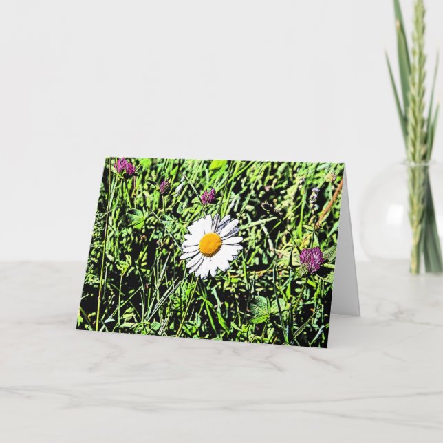 Daisy Card (Front)