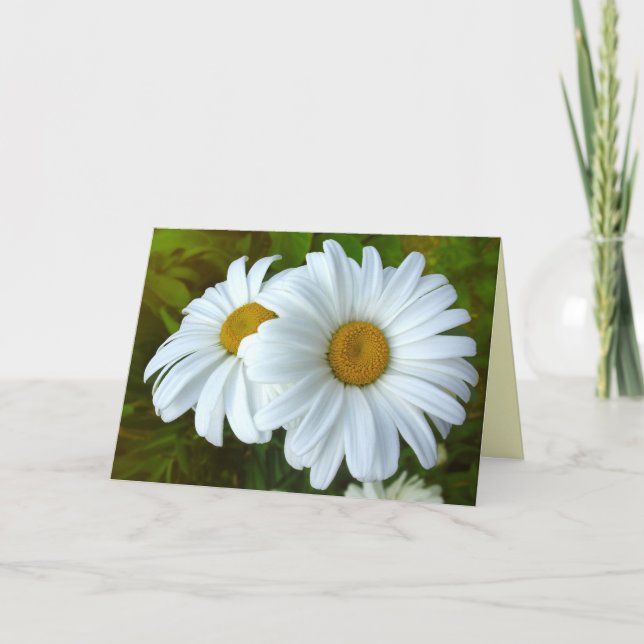 Daisy Card Wild Flowers Custom Greeting Cards (Front)
