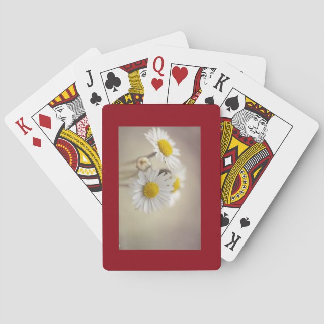 Daisy Cards (Back)