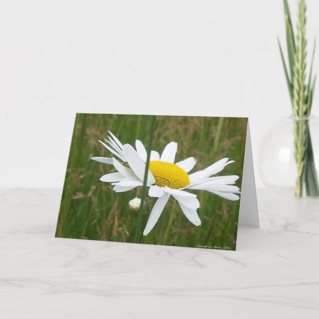 Daisy - Carte de voeux pliée en blanc (Devant)