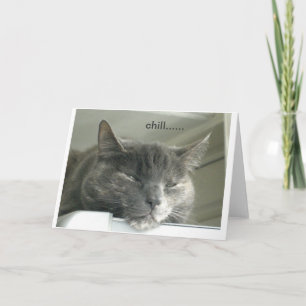Daisy Chilling Card