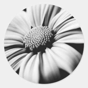 Daisy Classic Round Sticker