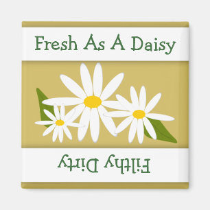 Daisy Clean Dirty Indicateur Lave-vaisselle Magnet