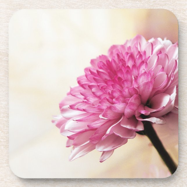 Daisy Coaster (Front)