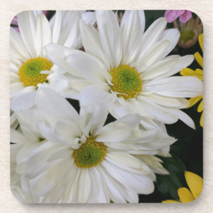 Daisy Coaster