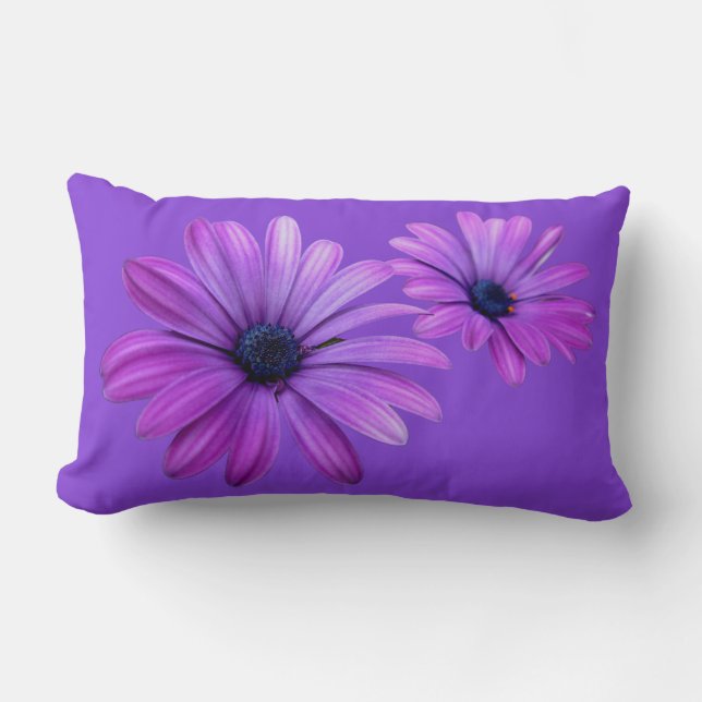 Daisy Coussin Blue Daisy Coussin Flower Decor (Recto)