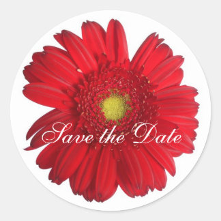 Daisy Custom Floral Sticker