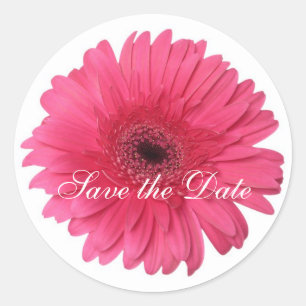 Daisy Custom Floral Sticker