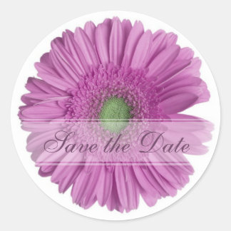 Daisy Custom Floral Sticker