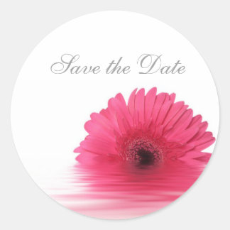 Daisy Custom Floral Sticker
