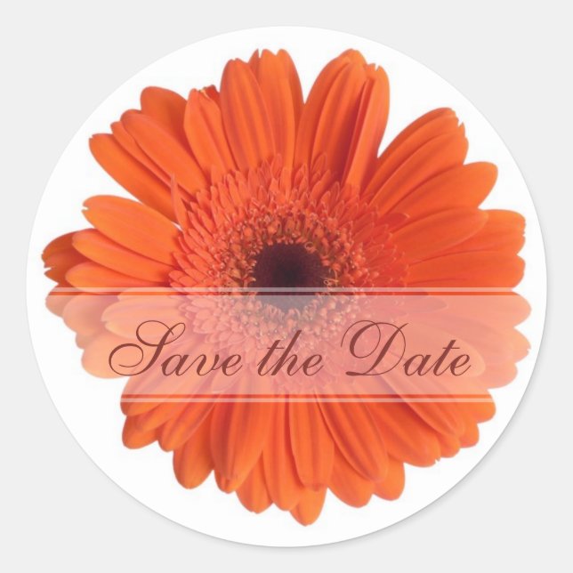 Daisy Custom Floral Sticker (Front)