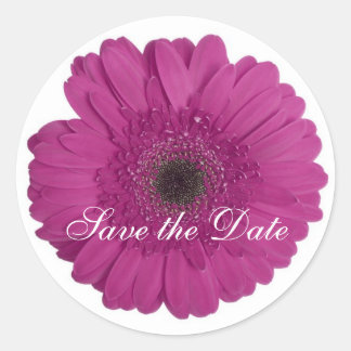 Daisy Custom Floral Sticker