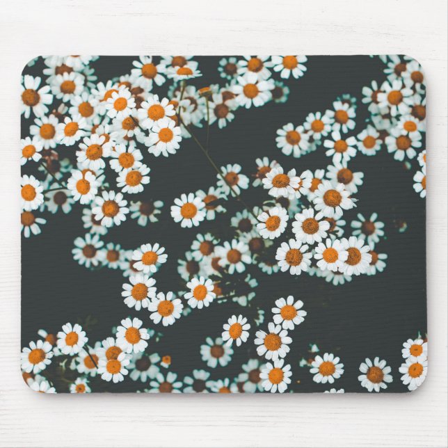 Daisy Daisies Floral Mouse Pad (Front)