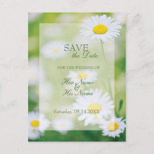 Daisy Daisies Flower Floral Summer SAVE the Date Announcement Postcard