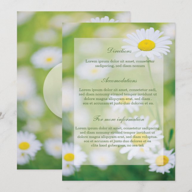 Daisy Daisies Flower Floral Summer Wedding Invitation (Front/Back)