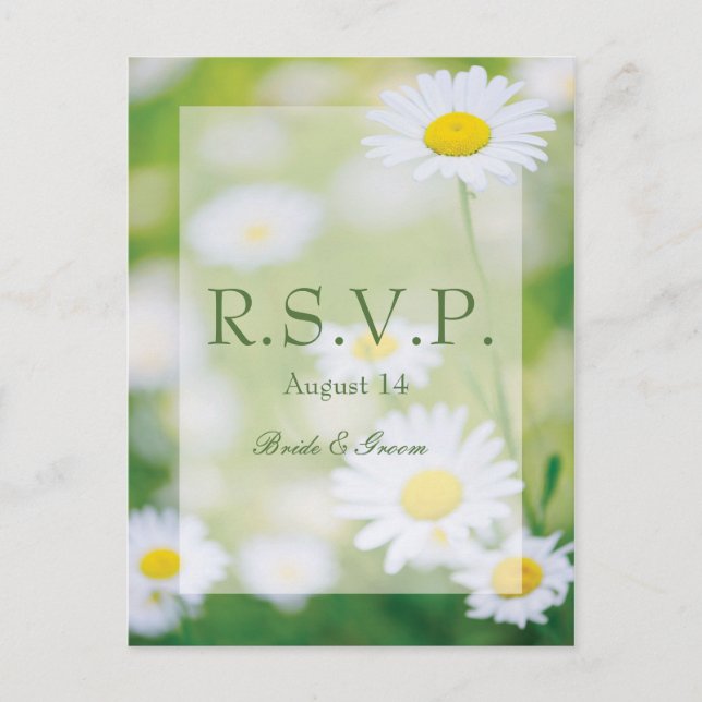 Daisy Daisies Flower Floral Summer Wedding RSVP Invitation Postcard (Front)