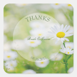 Daisy Daisies Flower Floral Summer Wedding Square Sticker