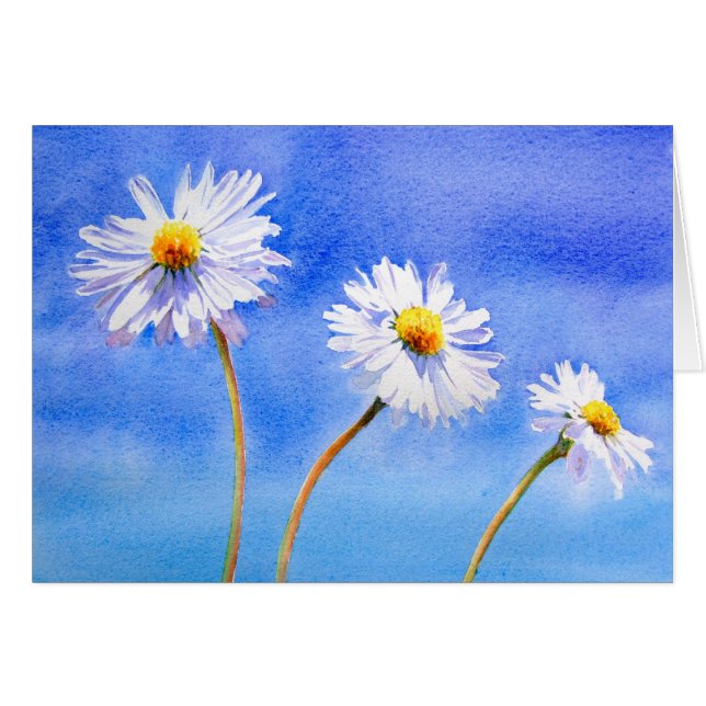 Daisy Daisy (Front Horizontal)